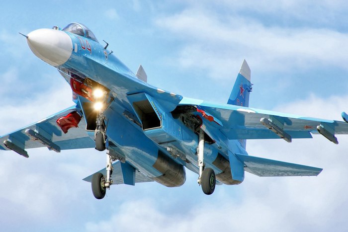 Су-27 ВКС России