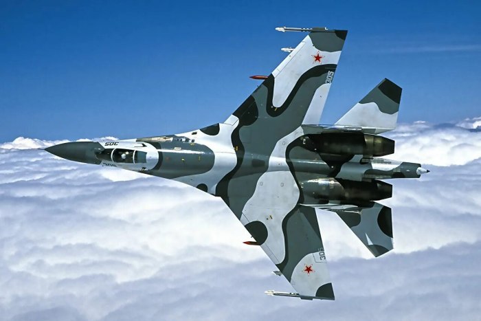 Су-27 ВКС России