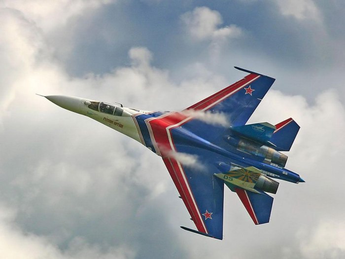 Су 37 Витязи