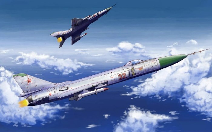 Су-15 Штурмовик