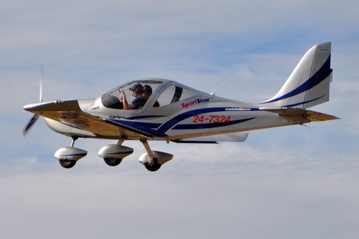 Evektor vut100 Cobra
