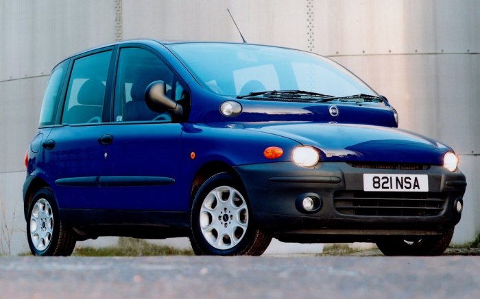 Машина Fiat Multipla