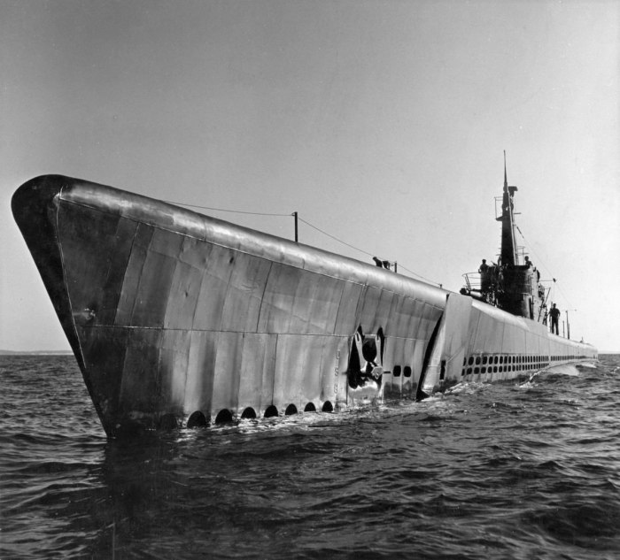 Capelin SS-289