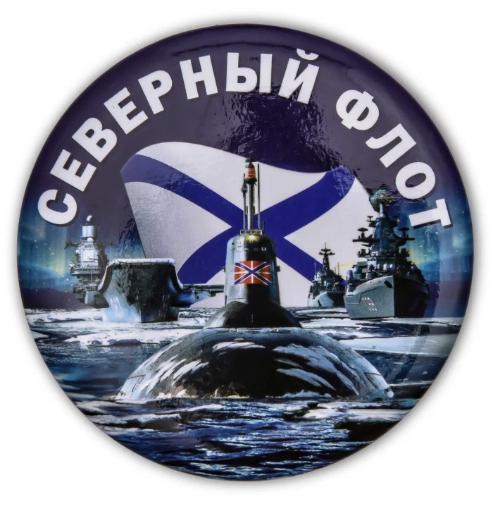 Северный флот ВМФ России