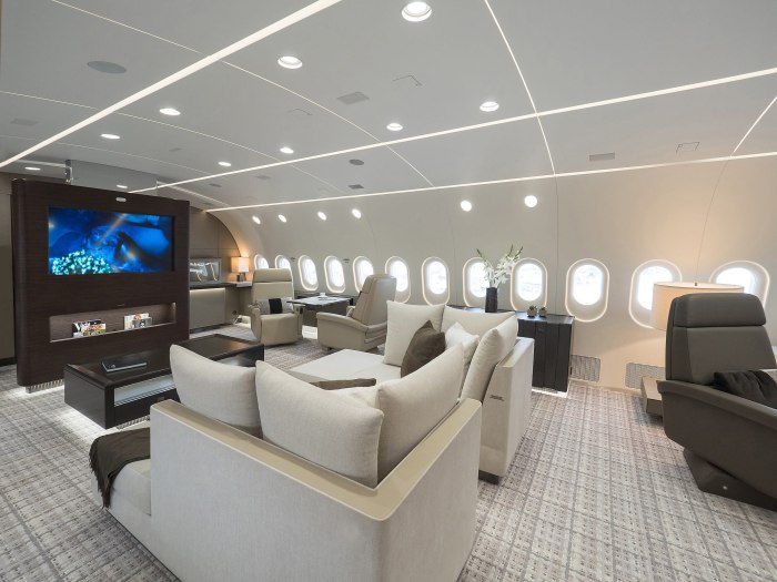 Бизнес-Джет Boeing 787-8 Dreamliner