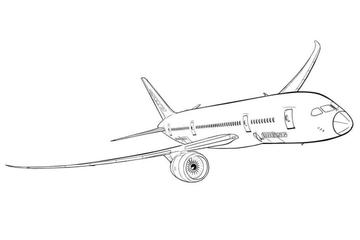 Боинг 787 раскраска