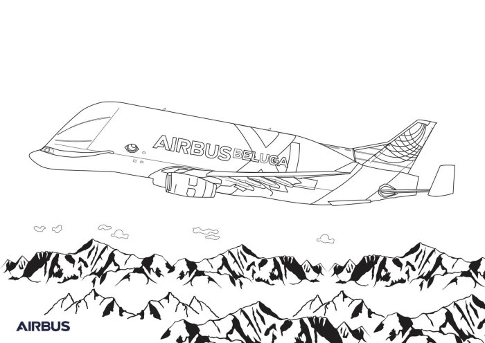 Раскраска боинг 747