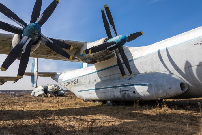 АН 22 Монино