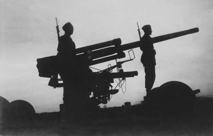 Bofors 75 mm model 1929