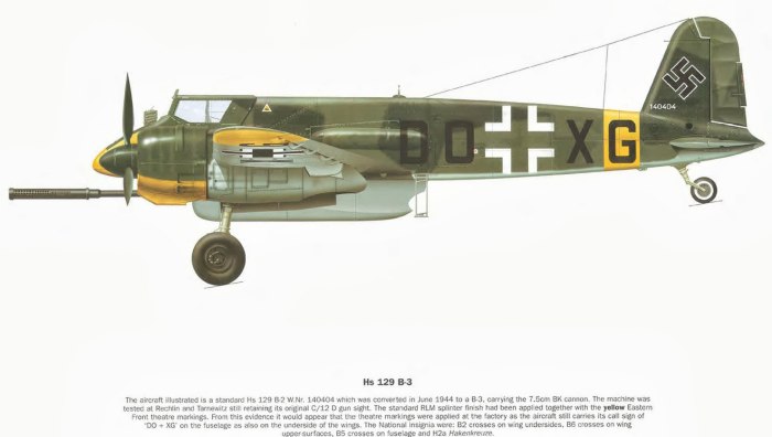 HS 129 B-3