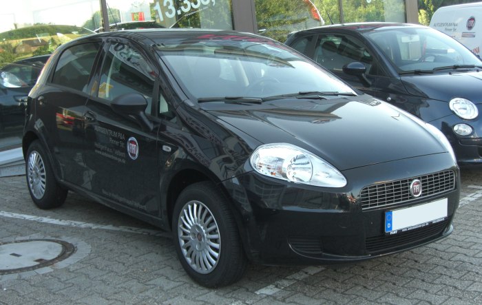 Fiat grande punto 3