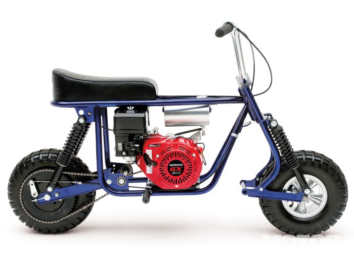 Taco Moto Mini