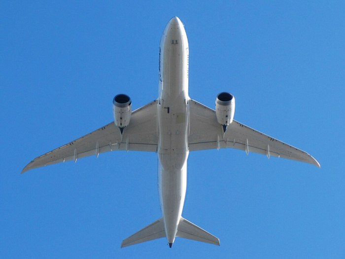 Крыло Боинг 787