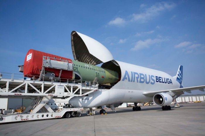 Airbus 300-600 Beluga