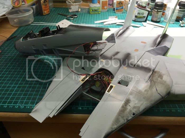 Super Tomcat f14 кабина