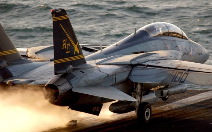 Томкэт самолет f-14