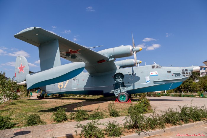 Гидросамолет бе 12 Чайка
