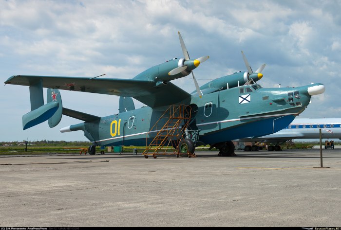 Бериев бе 12