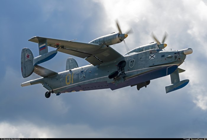 Амфибия бе-12 СССР