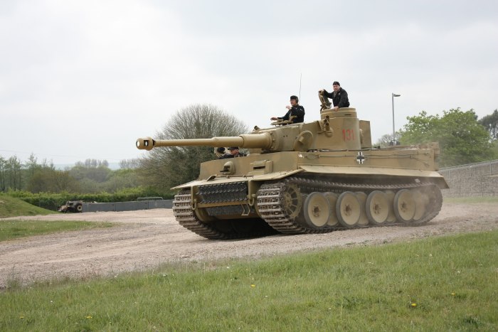 Т-6 тигр