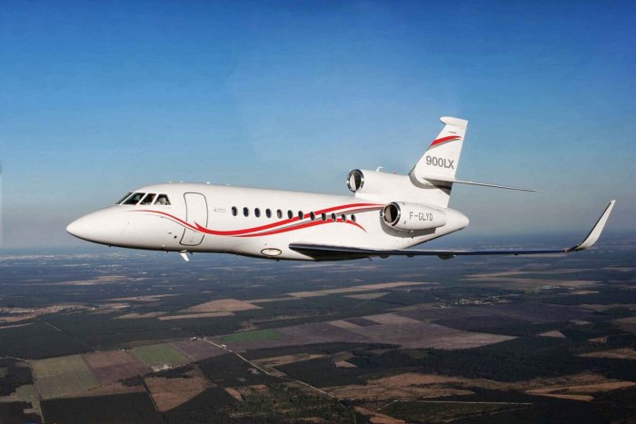 Falcon f-900