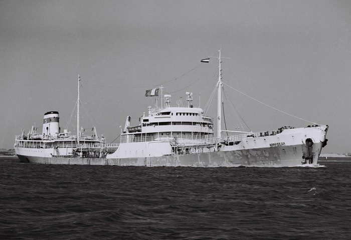 Танкер грузинского морского