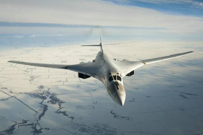 Стратегический бомбардировщик белый лебедь