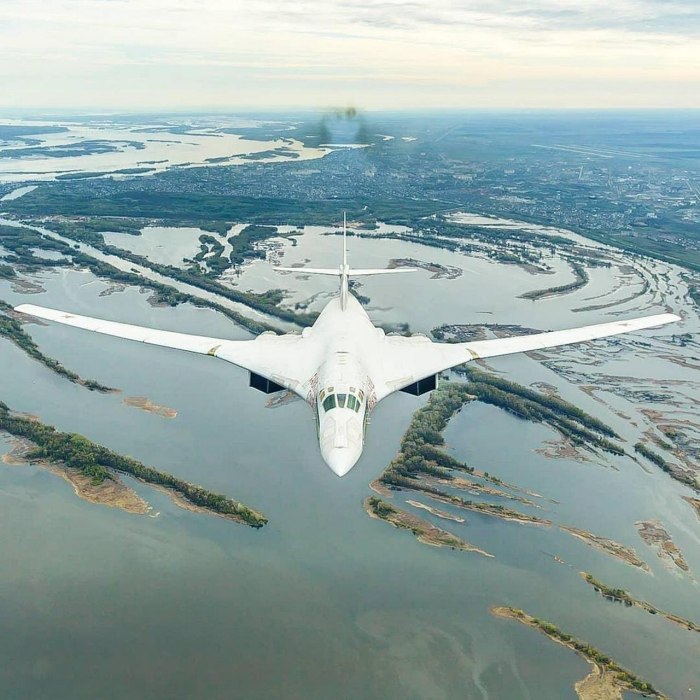 Белый лебедь самолет ту 160