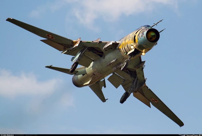 Су-17 самолет