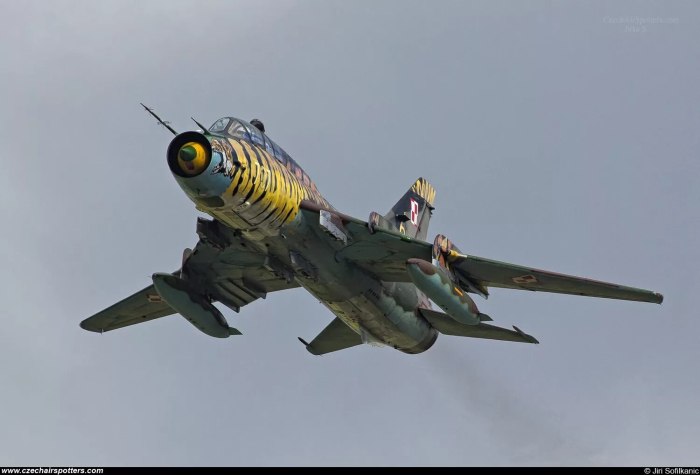Су-17 истребитель
