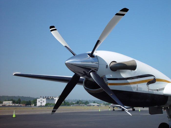 Piaggio Avanti беспилотник