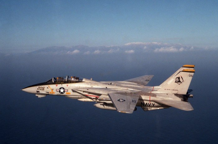 F14 самолет