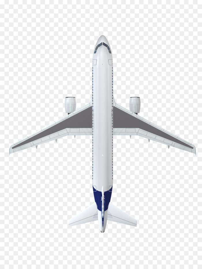 Airbus acj319