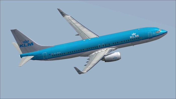 Boeing 737-800 Скат