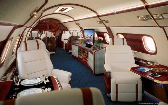 Embraer Lineage 1000e дирижабль Киото