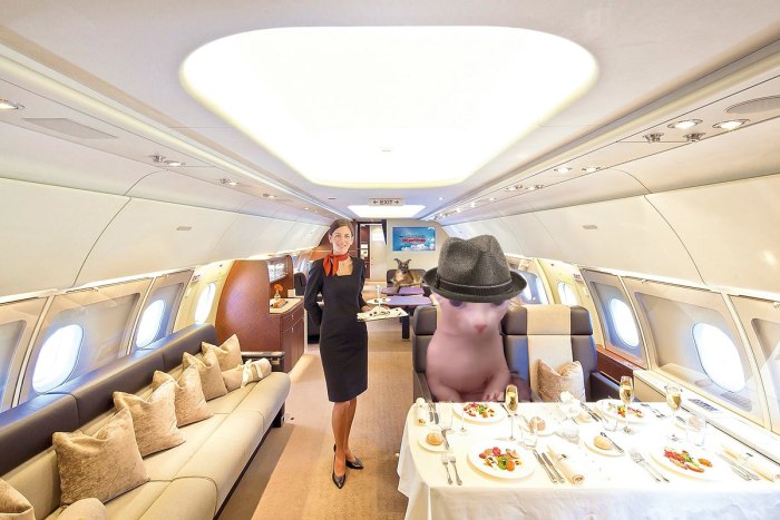 Airbus a319 Business Jet