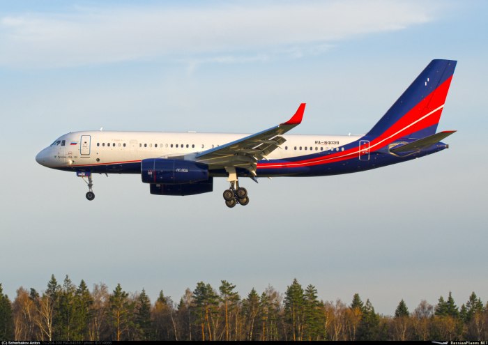 Ту-204 300 ред Вингс