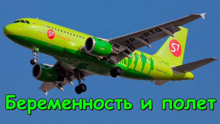 Аэробус а319 s7 Airlines