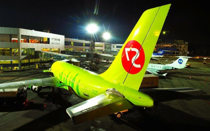Самолёт s7 Airlines