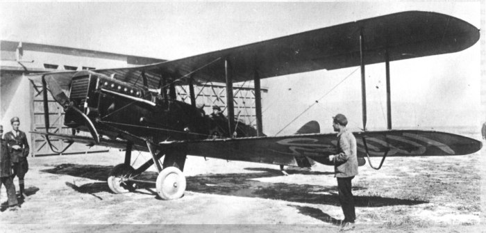 Р-1 самолёт Поликарпова