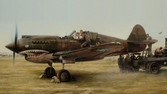 P40 Mustang самолет