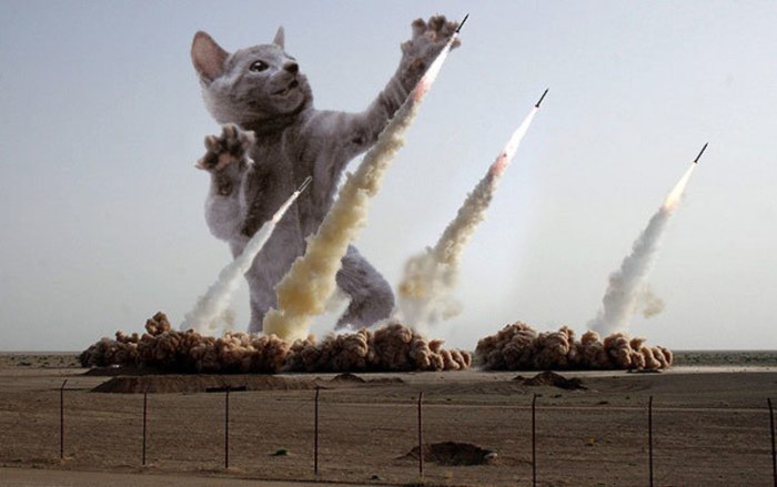 Кот на ракете