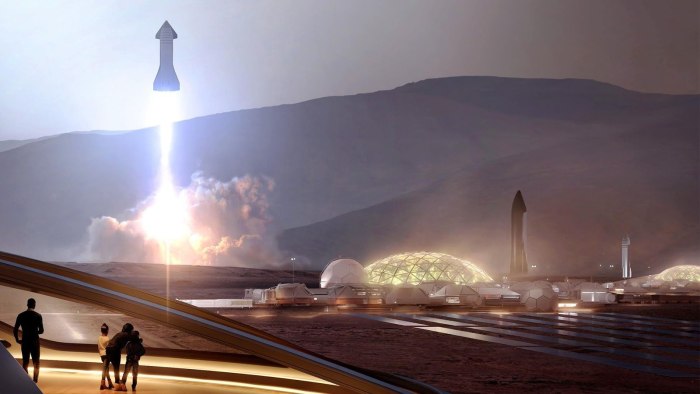 Starship Elon Musk