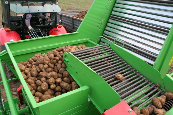 Pyra 1600