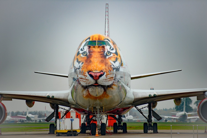 Боинг 747 тигр