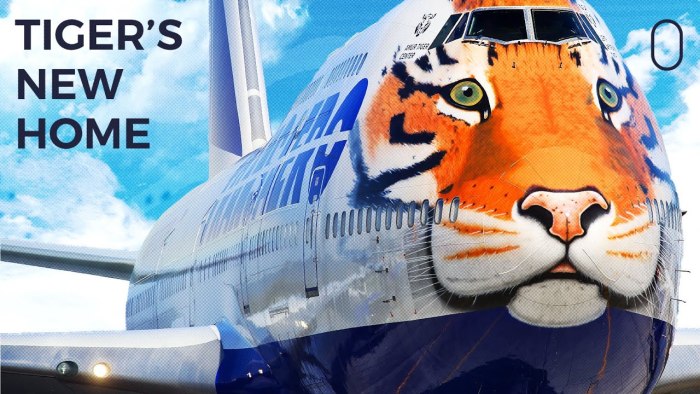 Боинг 747 Трансаэро тигр