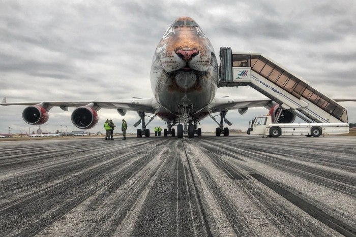 Боинг 747 Россия Тигролет