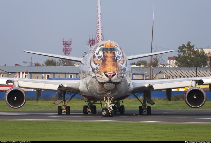 Боинг 747 Тигролет