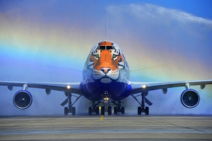 Боинг 747 Тигролет