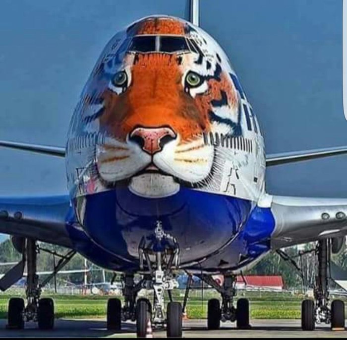 Боинг 747 Тигролет